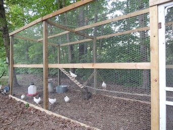chicken coop for hens